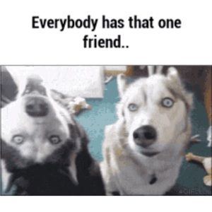 Silky Touch Brow Kit